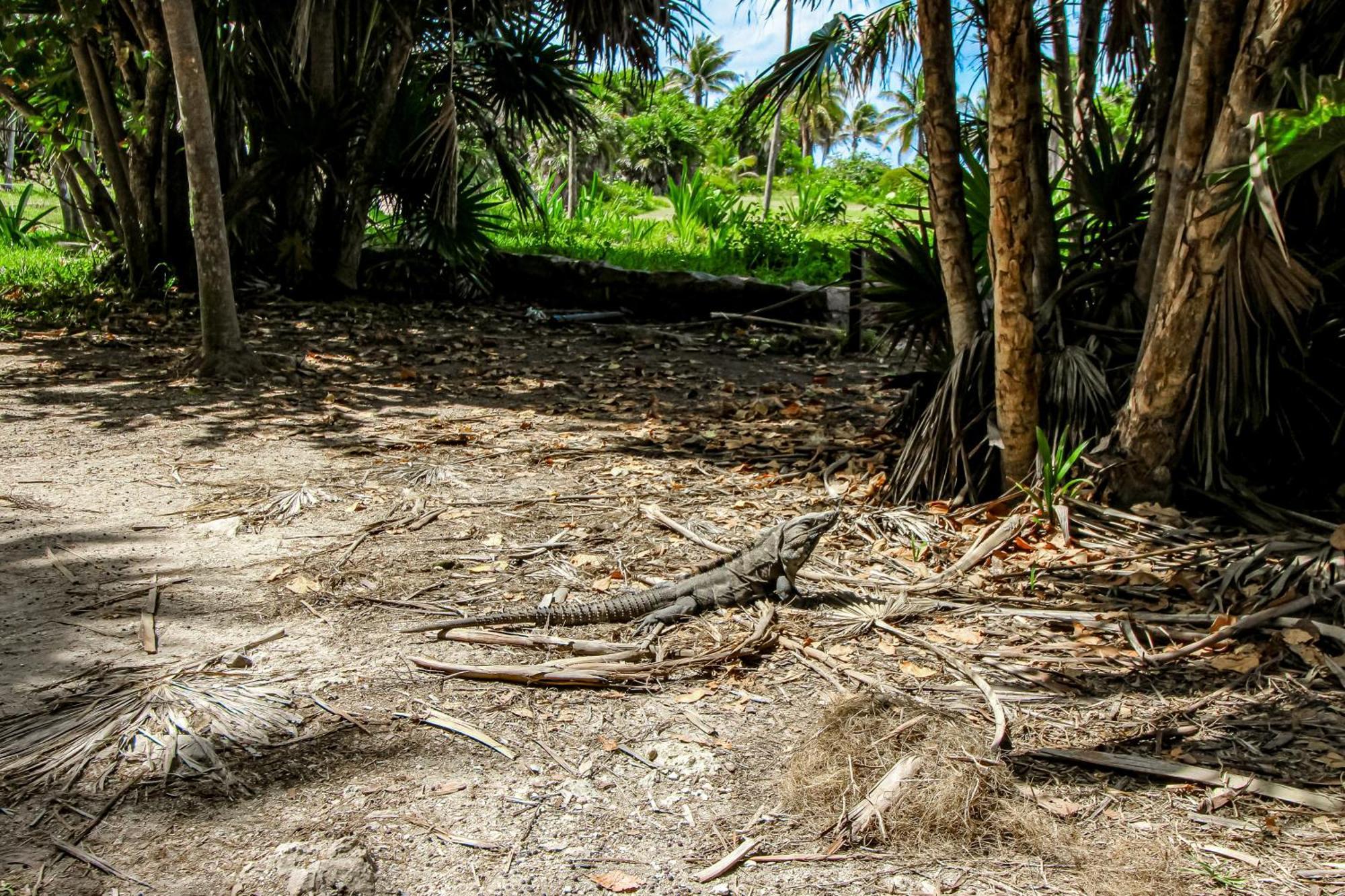 Villa Katalox At Aldea Zama Tulum Exterior photo
